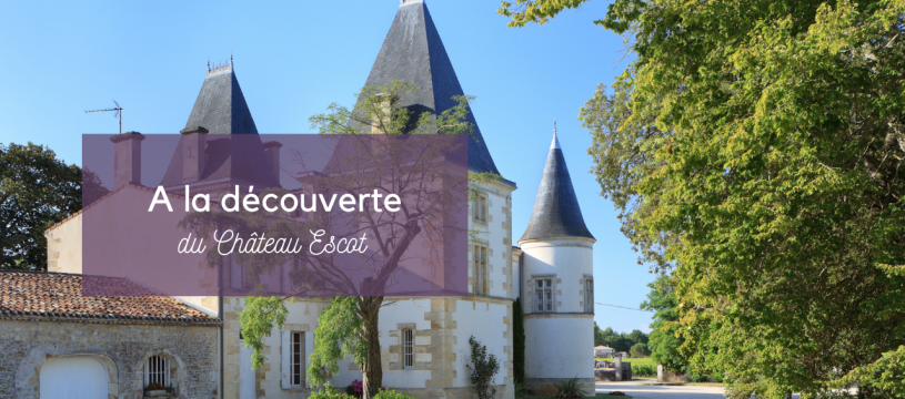 A la découverte du Château Escot